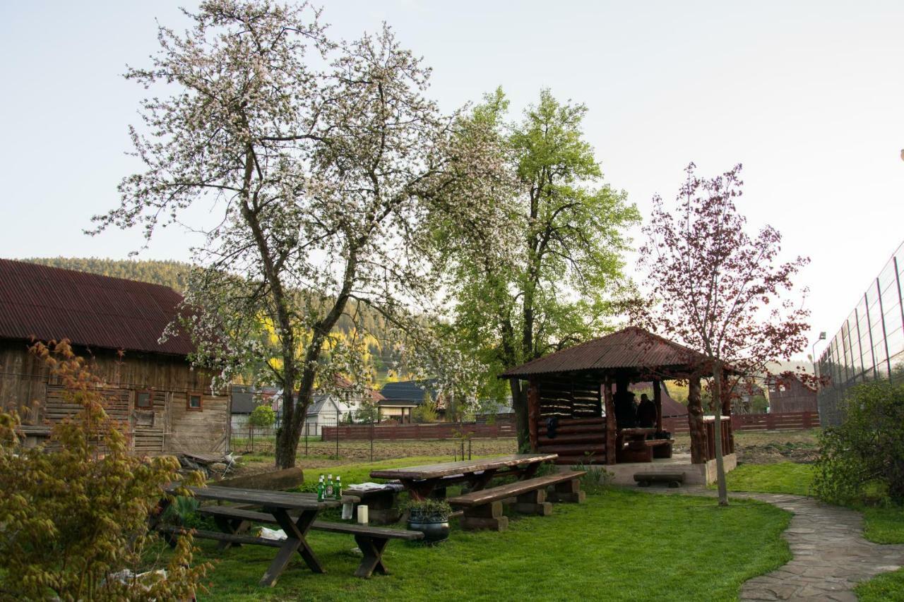 Casa Rares Сучевица Экстерьер фото